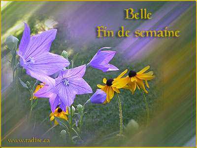 Bon Week-End